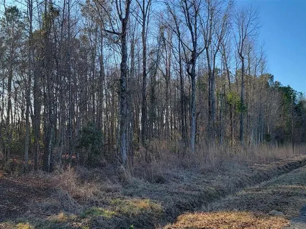 Mary Hubbard Rd, Clio, SC 29525