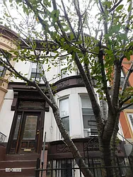 Rented by Citi Habitats