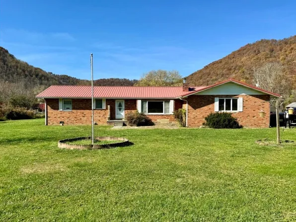 17 Hammer St, Birch River, WV 26610