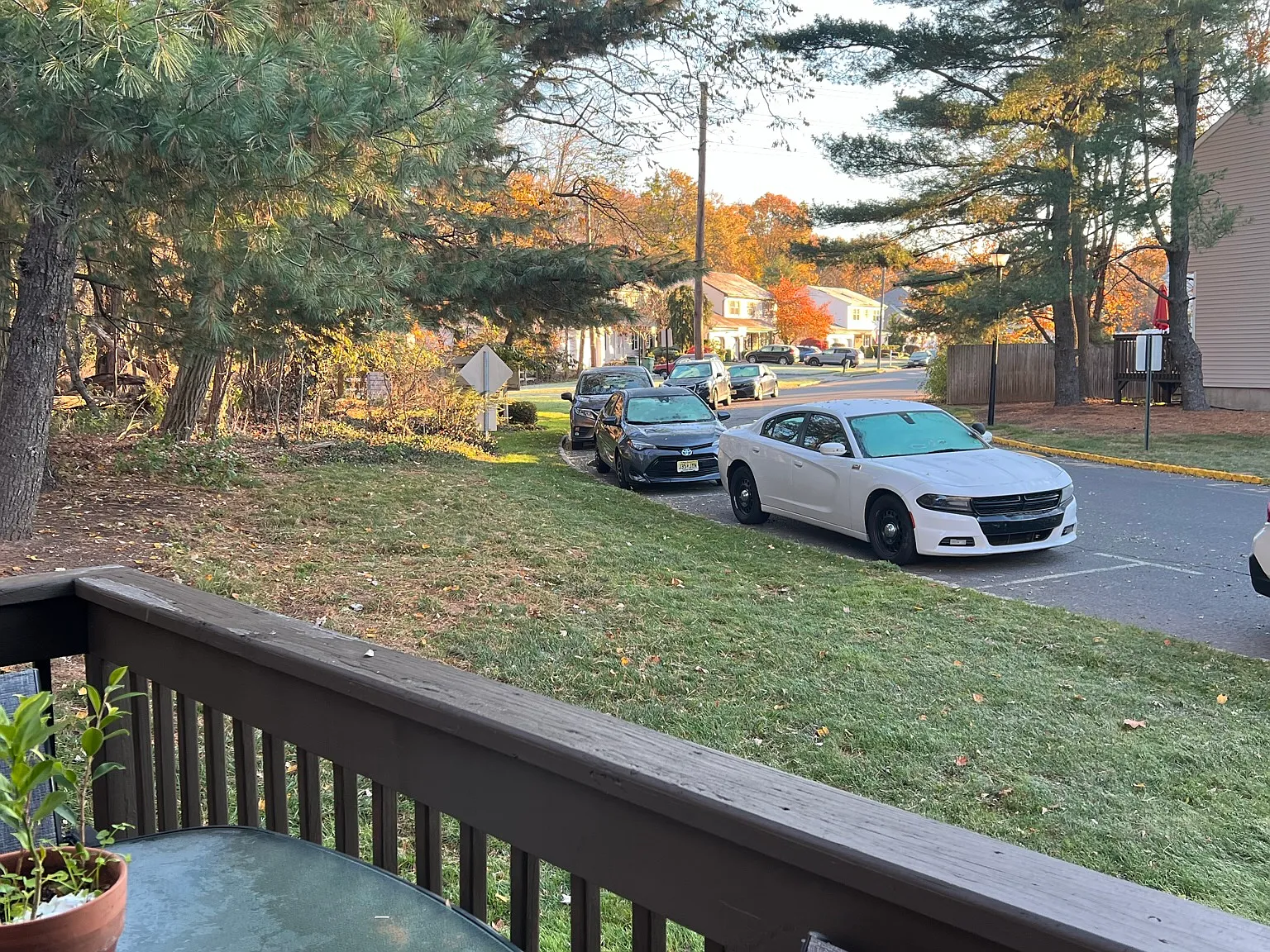 3 bed, 2.5 bath, 1600 sqft, $3,400 — Photo 3
