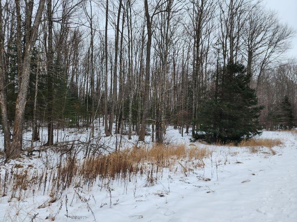 On Cth #T, Wabeno, WI 54566