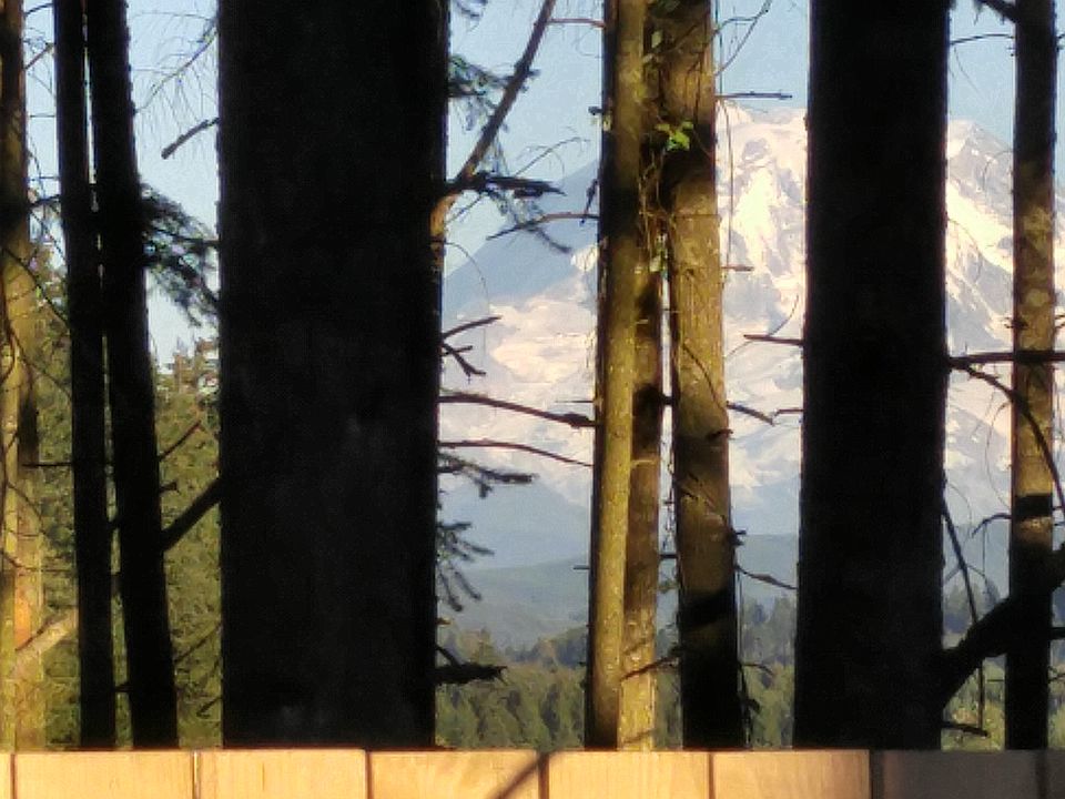 Mt Rainier at your back door
