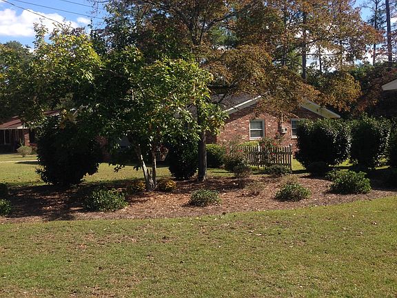 Pine Island in front yard