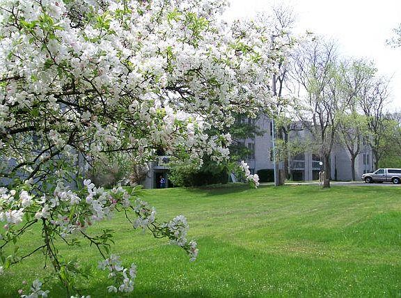 Exterior Of Community