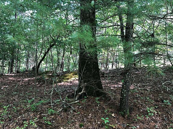 5th image of LT 13 Pine Ln