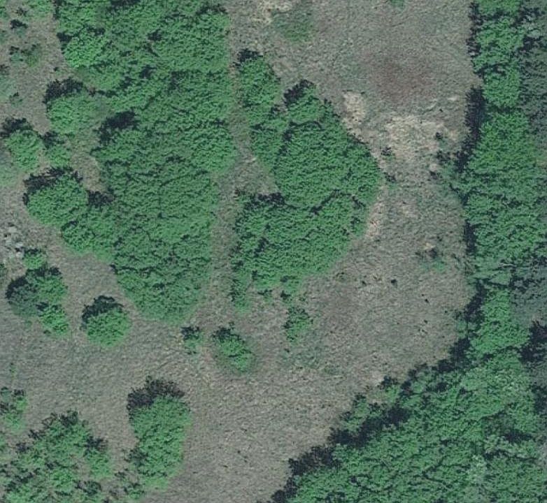 1st image of 1292 195th Ave