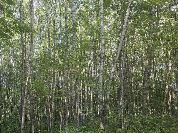Lot 4 Ken Can Lane, Webster, WI 54893