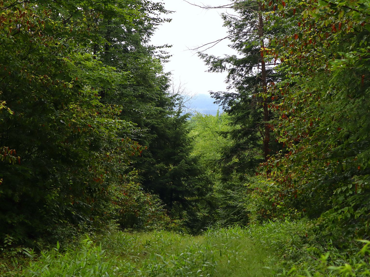 0 E Schroon River Rd LOT WP001, Diamond Pt, NY 12824 Zillow