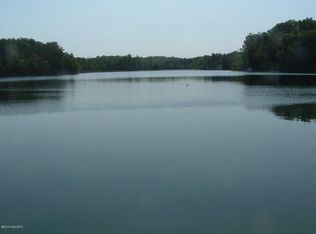 11728 N Bass Lake Rd, Irons, MI 49644