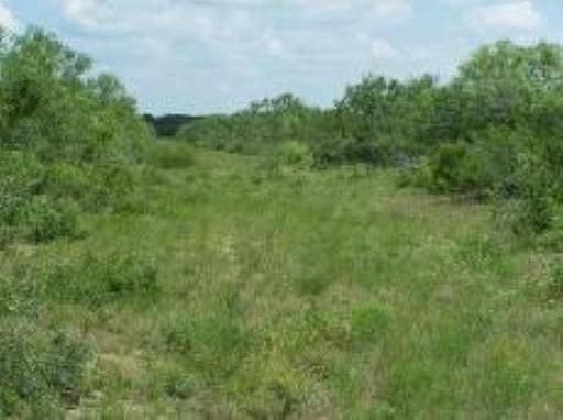 3rd image of 51 ACRES HWY 16