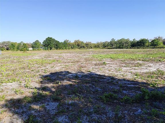 5th image of 4535 SARVER AVENUE LOT 234