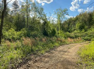 TRACT 11 Mount View Rd, Robbins, TN 37852