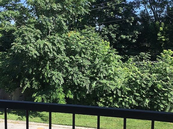3rd image of 5709 Lyons View Pike APT 2205
