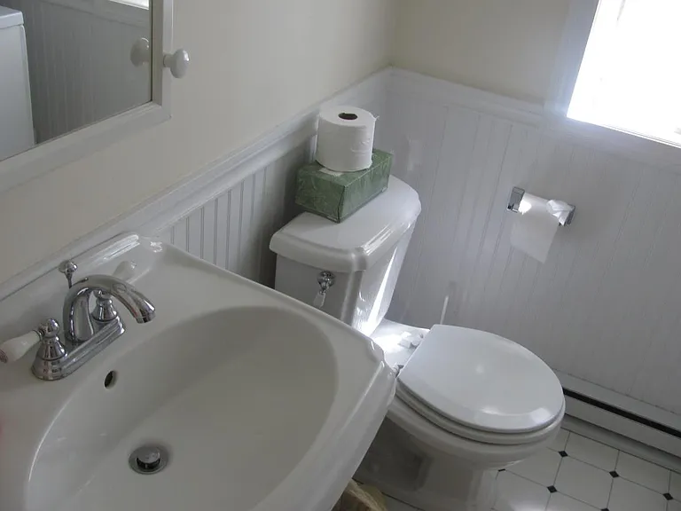 Downstairs bath with walk in shower