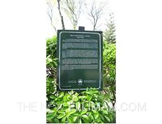 Sold by Douglas Elliman | media 16