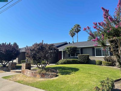 430 Warwick Dr, Walnut Creek, CA, 94598