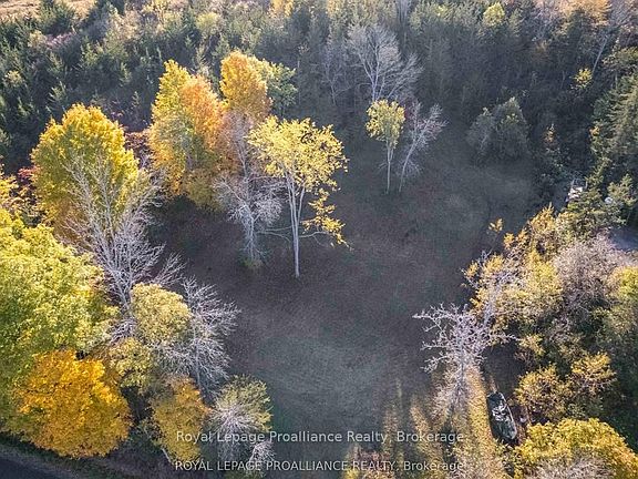 5th image of 863 Gunter Settlement Rd