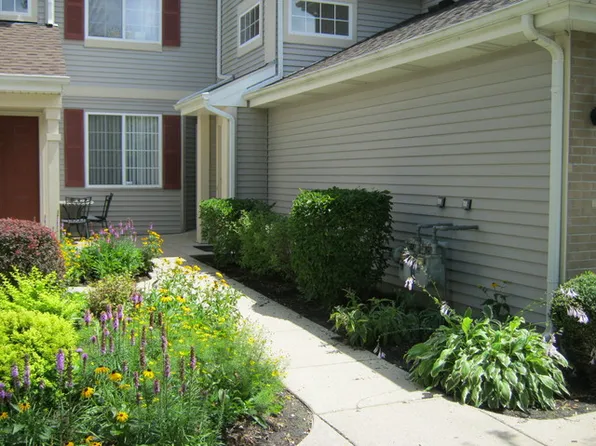227 Sierra Pass #1, Schaumburg, IL 60194
