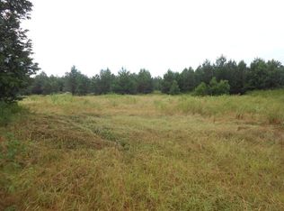 299 Fm 2544, Grapeland, TX 75844