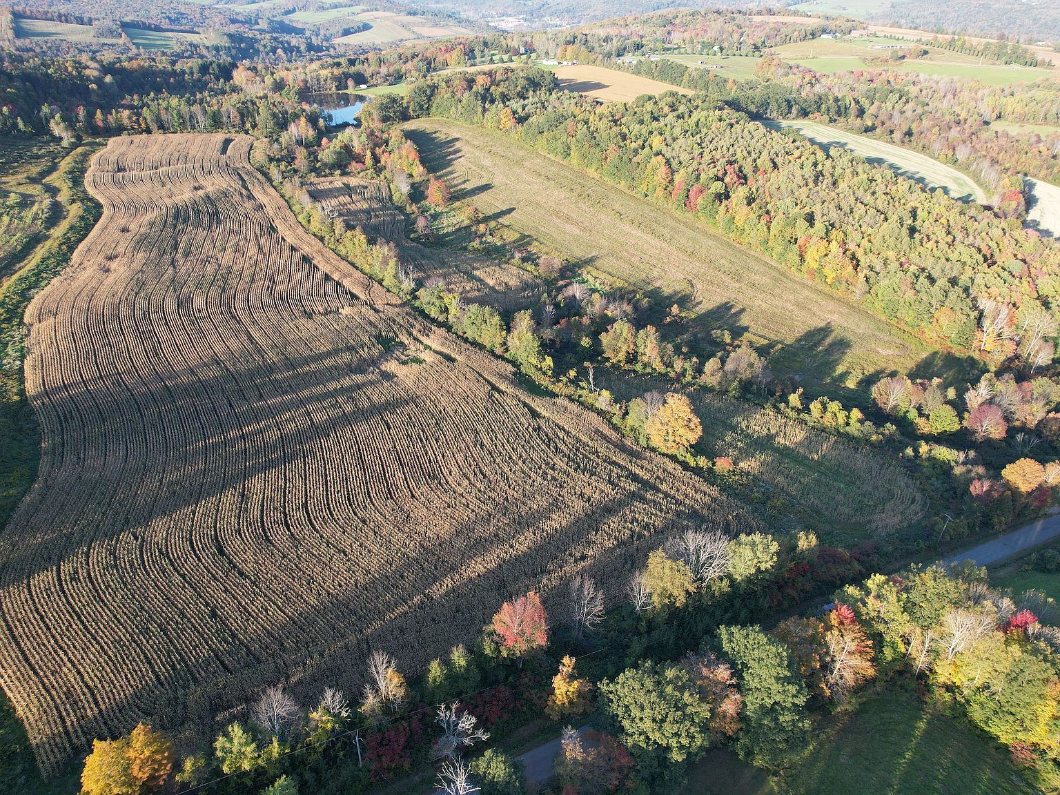 Wp01 Spaulding Hill Rd, Owego, NY 13827 Zillow