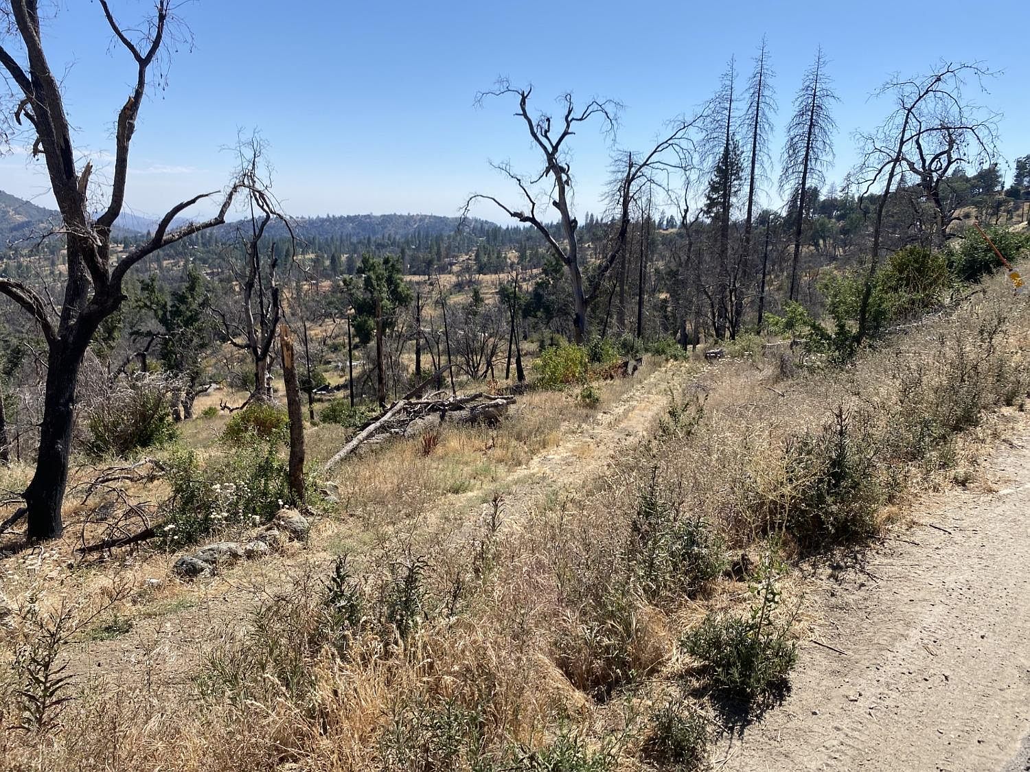 35155 Peterson Rd, Auberry, CA 93602 Zillow