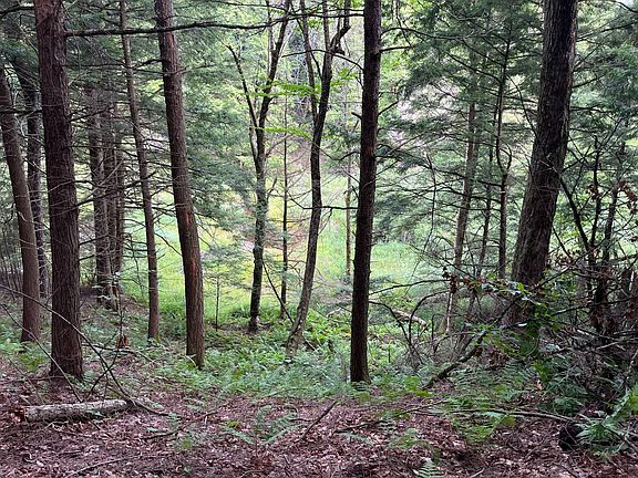 12th image of 0 Streeter Rd #3