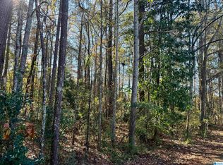 Lots 10 15 14 Lane Avenue &, Roanoke, AL 36274