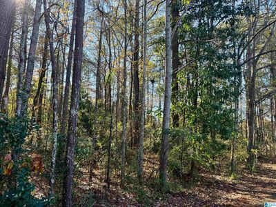 18 Omaha Rd LOT 18, Roanoke, AL, 36274
