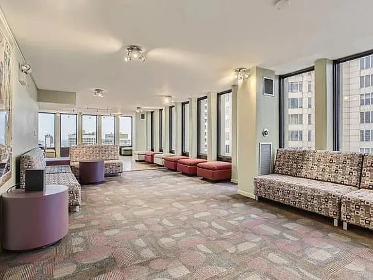 100 E Walton St #14F — Photo 13
