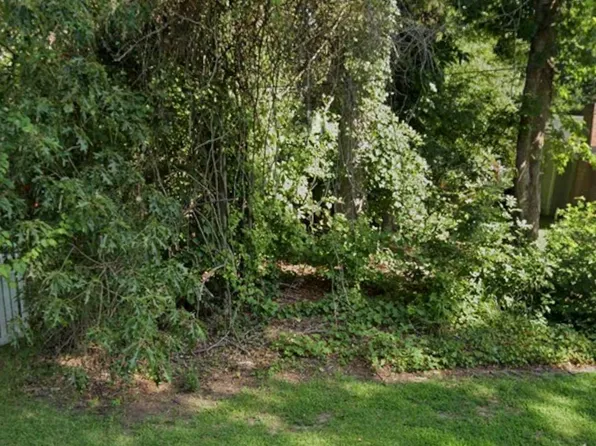 118 Rockfish Street LOT 29, Edenton, NC 27932