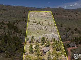 307 Brewster Ln, Livermore, CO 80536