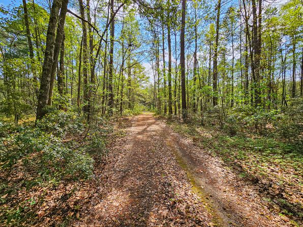 217 Brick Rd, Walterboro, SC 29488