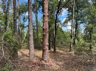 14 Th Trl, Live Oak, FL 32060