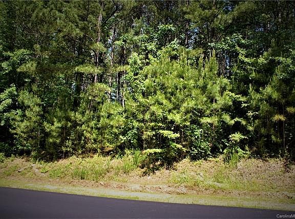 2nd image of 162 Winding Forest Dr