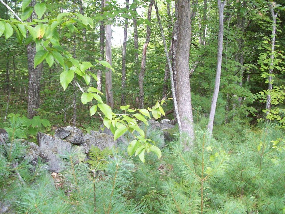 2nd image of 7 Oak Woods Drive