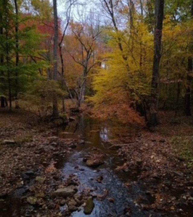 2nd image of 483 County Road 65