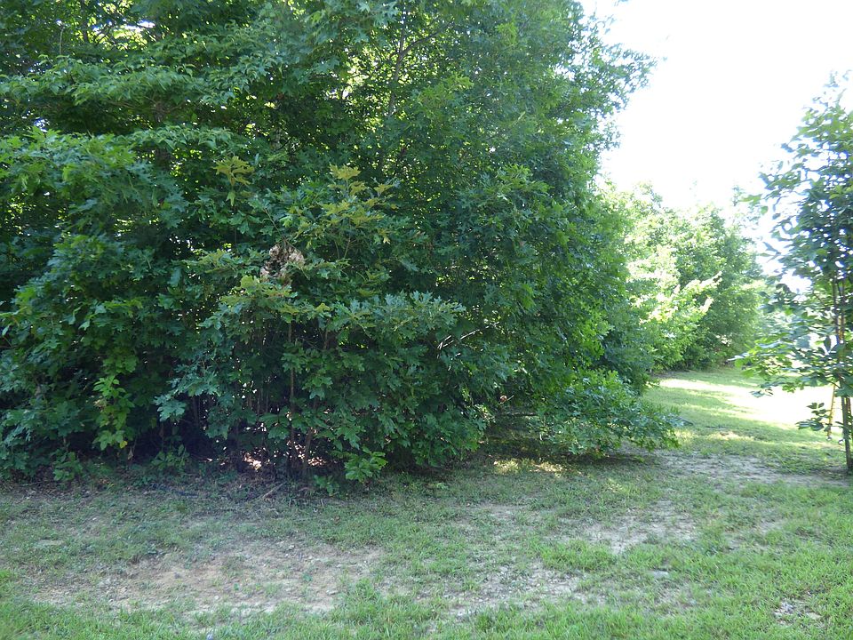 2nd image of E Deer Creek Dr