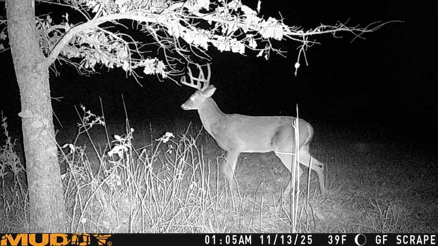 1st image of 995 County Road 818
