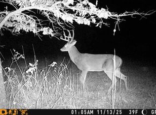995 County Road 818, Green Forest, AR 72638