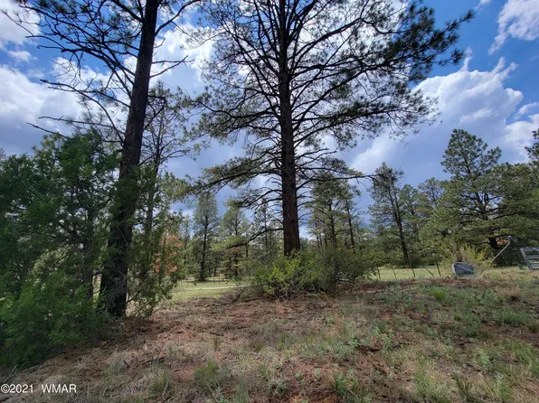 Acr N1335, Greer, AZ 85927