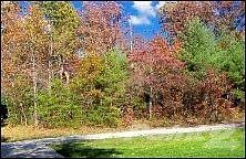 112 Scarborough Dr.