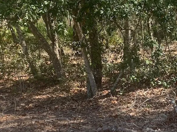 6879 S Kirk Point, Lecanto, FL 34461