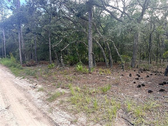 2nd image of NE 85TH STREET