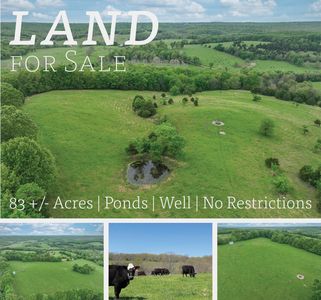 000 County Road Cc-256, Vanzant, MO, 65768
