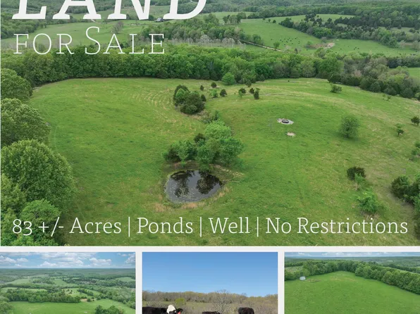 000 County Road Cc-256, Vanzant, MO 65768