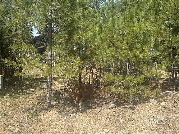 5th image of 474 Timbercrest Loop