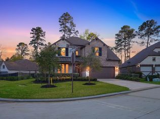 203 Terrain View Ct, Willis, TX 77318