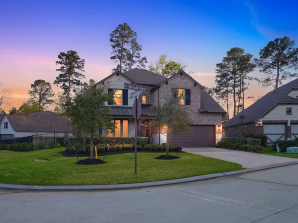 203 Terrain View Ct, Willis, TX 77318