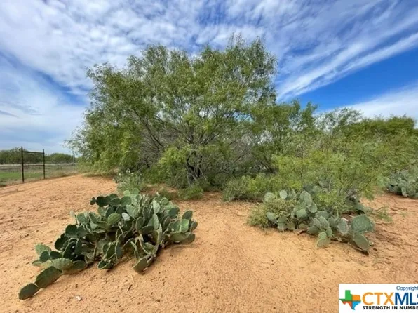 1 County Road 329, Jourdanton, TX 78026