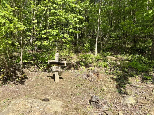 0 Raulston Falls Rd Lot 105, Jasper, TN 37347